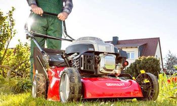 you grow it, we mow it