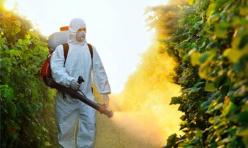 making homes and gardens beautiful