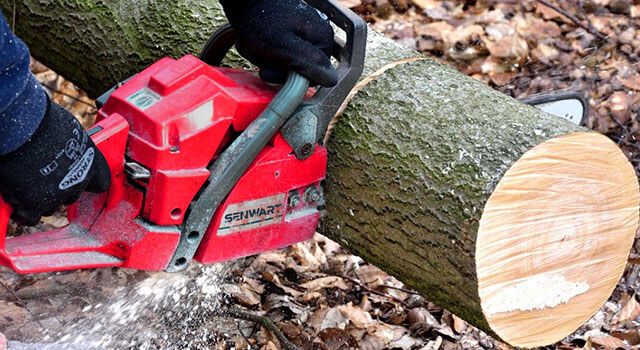 gasoline chainsaws